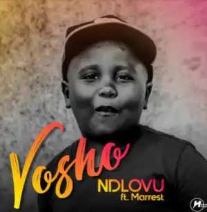 Ndlovu - Vosho Ft. Marrest
